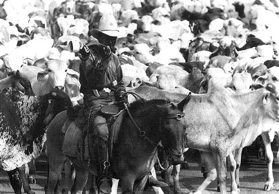 Ir para  <p><big>Muitas can&ccedil;&otilde;es tradicionais aqui do Rio Grande do Sul trazem letras muito fortes, que abordam temas do ga&uacute;cho e seu cotidiano. Esta, intitulada &ldquo;Os Homens de Preto&rdquo;,...